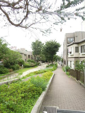 玉川上水公園