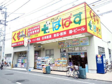 どらっぐぱぱす世田谷１丁目店