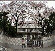 東京都立広尾高等学校