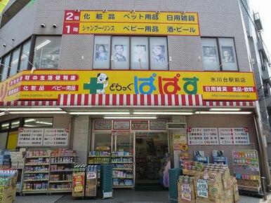 どらっぐぱぱす氷川台駅前店
