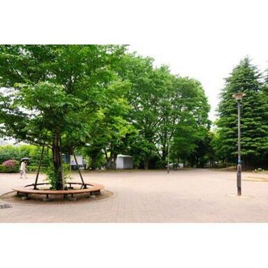 駒沢緑泉公園