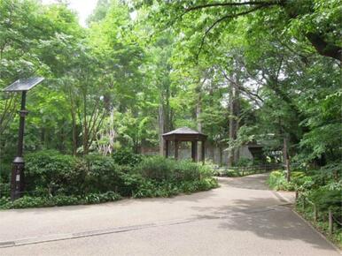 都立林試の森公園北門