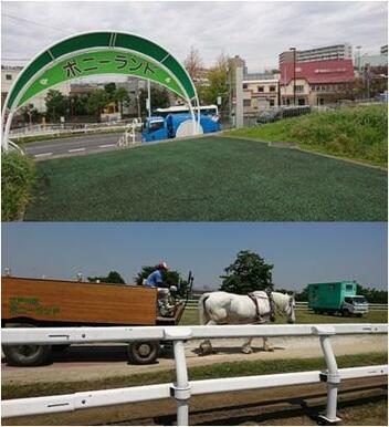 江戸川区立篠崎ポニーランド
