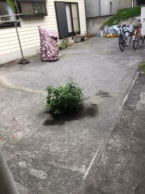 駅至近のバイク駐輪場出ました！通りから少し入ったところにあるので安心です！ぜひご検討ください！