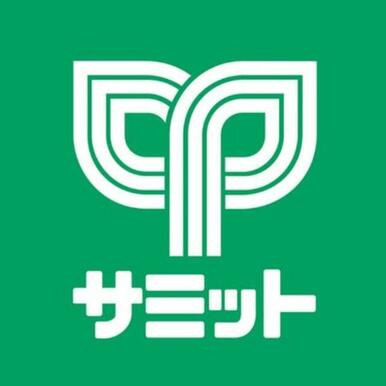 サミットストア環八南田中店