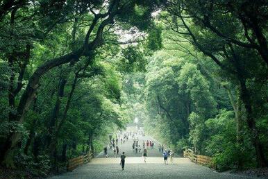明治神宮