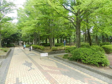 教育の森公園