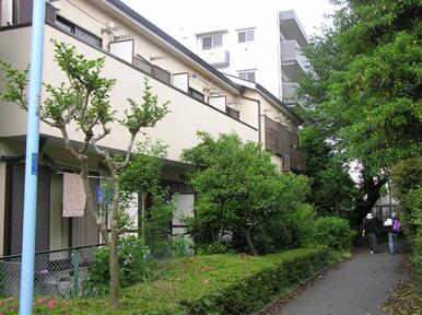 南面　緑豊かな遊歩道