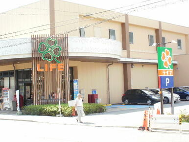 ライフ上池台店